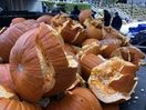 The broken pumpkins of the day